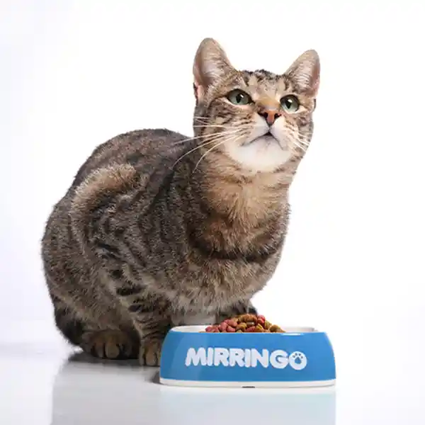 Mirringo Alimento para Gatos Adultos Original