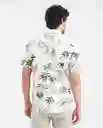 Camiseta Beach Leaf Crudo Angora Claro T. XXL Chevignon