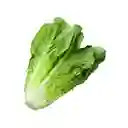 Members Selection Lechuga Romana - Pricesmart