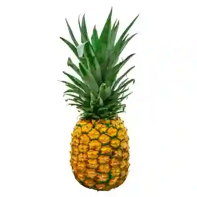 Oromiel Piña