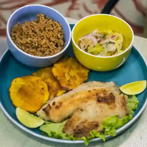 Filete de Tilapía