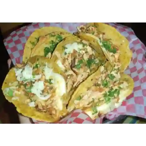 Tacos de Pollo O Cerdo