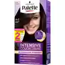 Palette tinte capilar