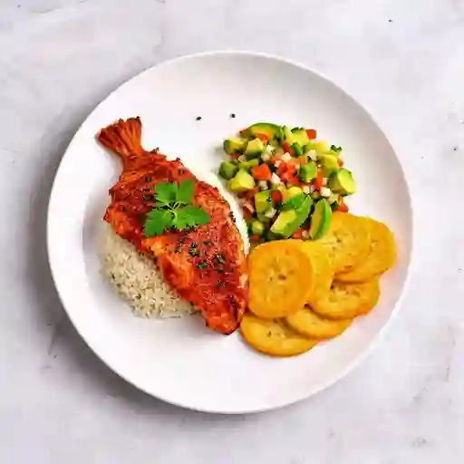 Bandeja Playera