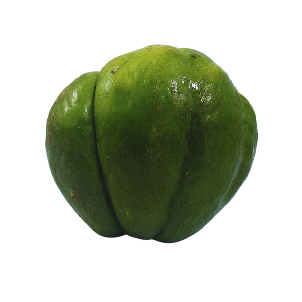 Cidra Guatila x kg