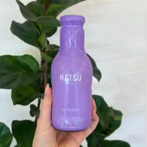 Hatsu Té Blanco con Flor de Cerezo