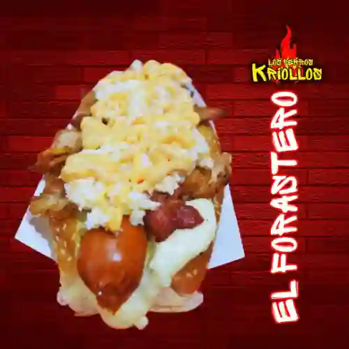 el Forastero (longaniperro)
