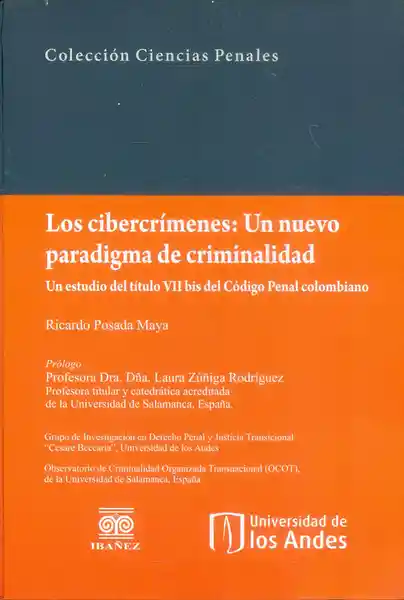 Los Cibercrímenes: un Nuevo Paradigma de Criminalidad