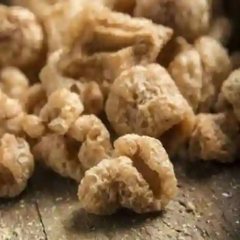 Chicharrón