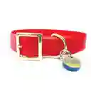 Fedelé Collar Goma Rojo S