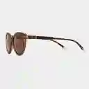 Barner Gafas Sun Belleville Carey