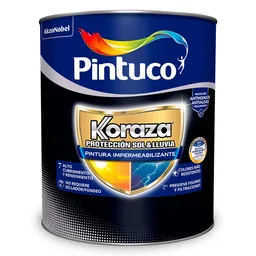 Koraza Pintura Impermeabilizante Blanco