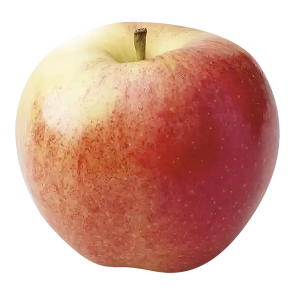 Manzana Ana