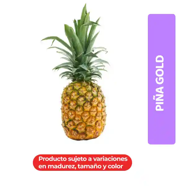 Piña Gold