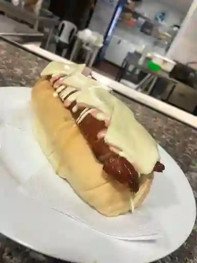 Perro Italo Suizo