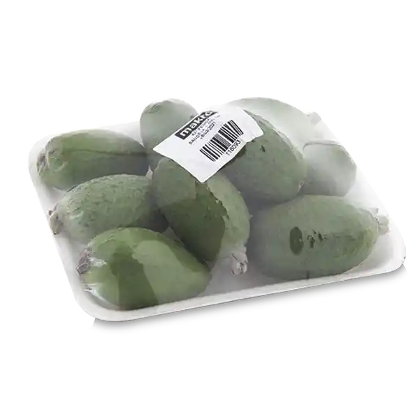 Kit Feijoa