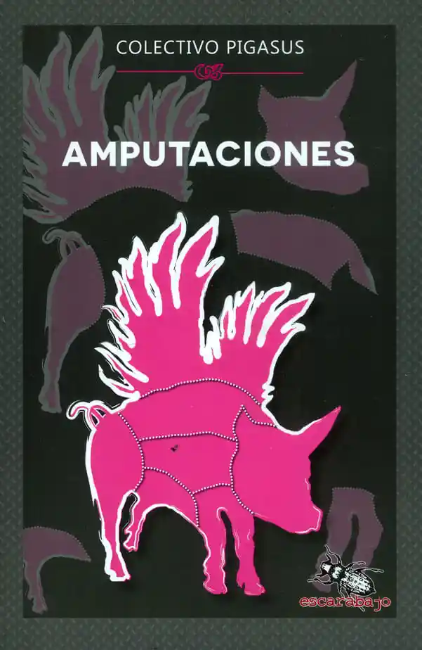 Amputaciones