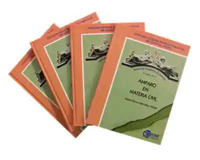 Manuales Temáticos de Amparo Primera Serie