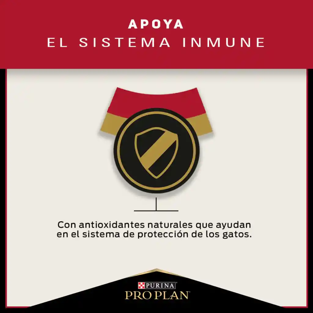 Comida para Gatos Adultos Purina Pro Plan x 3 kg