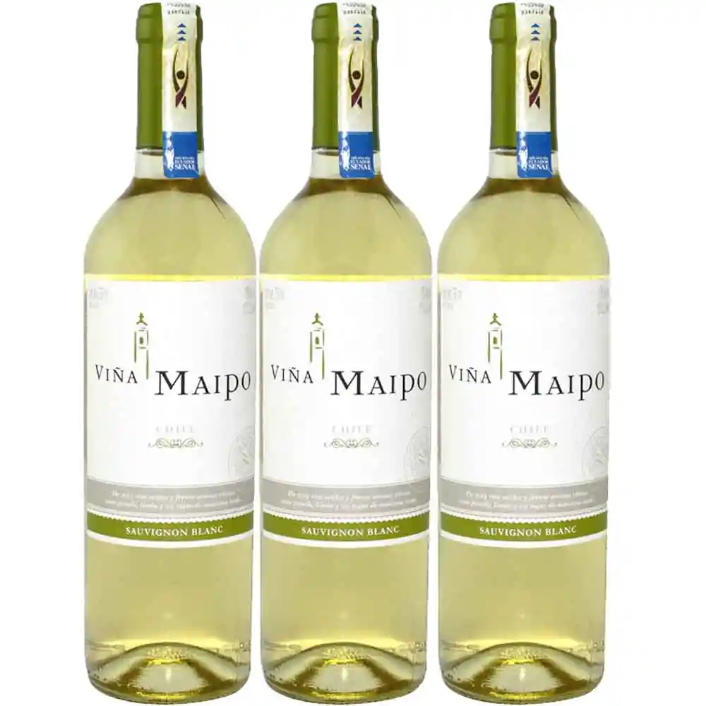 Vino Viña Maipo Sauvignon Blanco 2x3