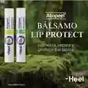 Atopeel Balsamo Lip Protect Menta