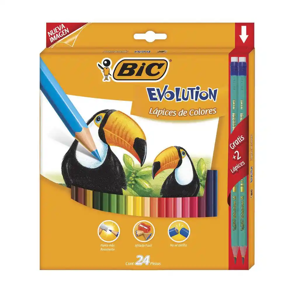 Bic Lápiz de Color Evolution Lapices Hb