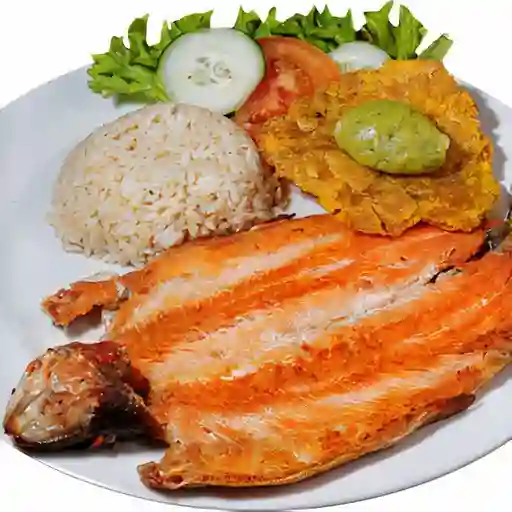 Trucha Frita