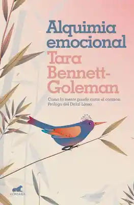 Alquimia emocional. Cómo la gente puede curar el corazón