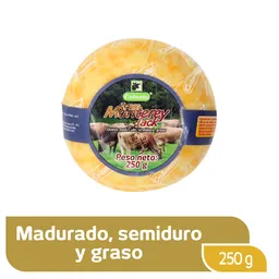 Queso tipo Monterey Jack x 250g