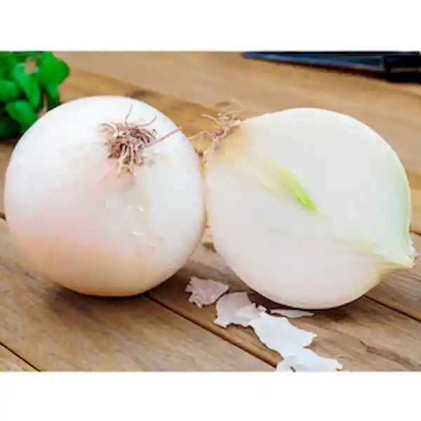 Cebolla Blanca / 6.6 Lb