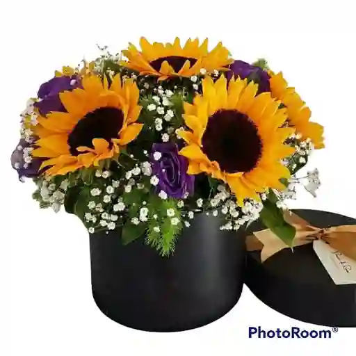 Caja de 6 girasoles