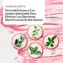 Listerine Enjuague Bucal Sandía & Menta