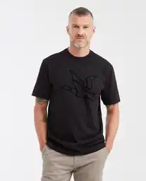Camiseta Manga Corta Duck Graphic Negro Sombrio T M Chevignon