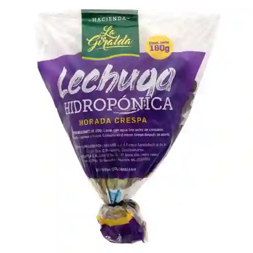 Lechuga Hidrop Mda Cresp La Giralda