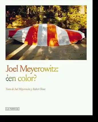Joel Meyerowitz en Color