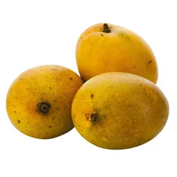 Mango Común