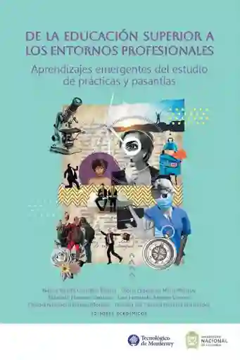 de La Educación Superior a Los Entornos Profesionales Aprendizajes Emergentes Del Estudio de Las Prácticas y Pasantías