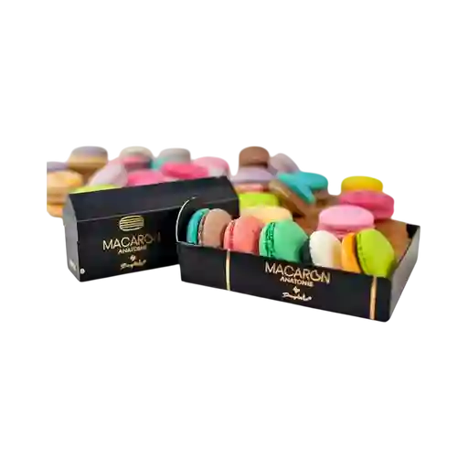 Macaron - Caja Anatomie