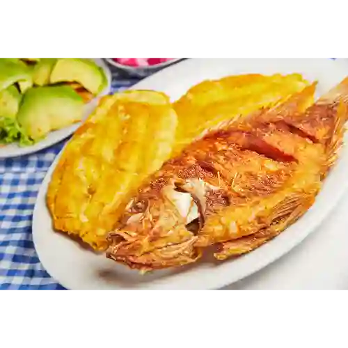 Mojarra Frita