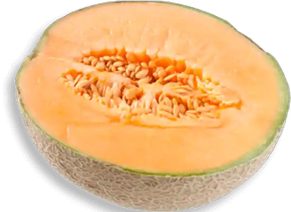 Melon Cantaloupe