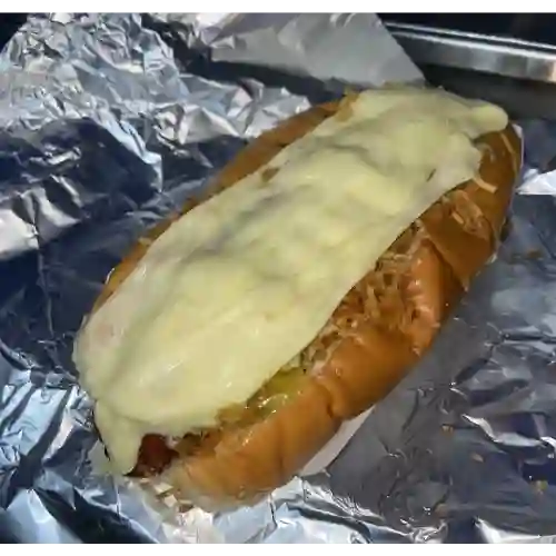 Perro Sencillo