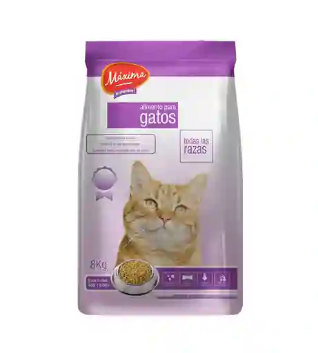 Máxima Alimento Para Gato