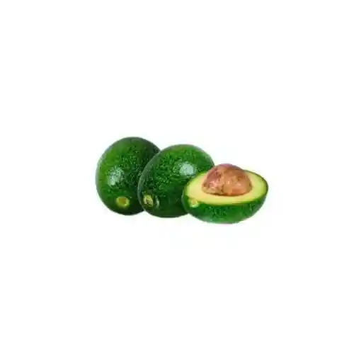 Aguacate Choquete - Fruttivos