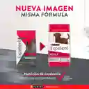 Comida para perros EXCELLENT ADULT Razas Medianas y Grandes x 3 kg