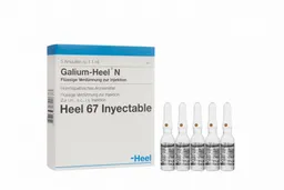 HEEL Galium- Medicamento Homeopã¡Tico
