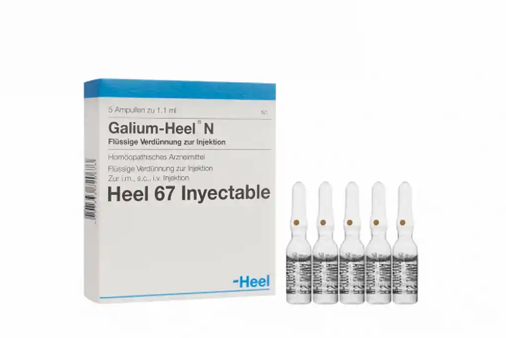 HEEL Galium- Medicamento Homeopã¡Tico