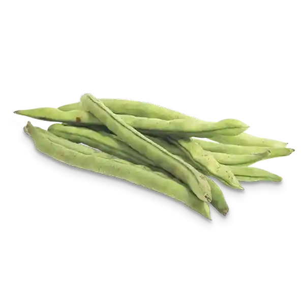 Makro Habichuela