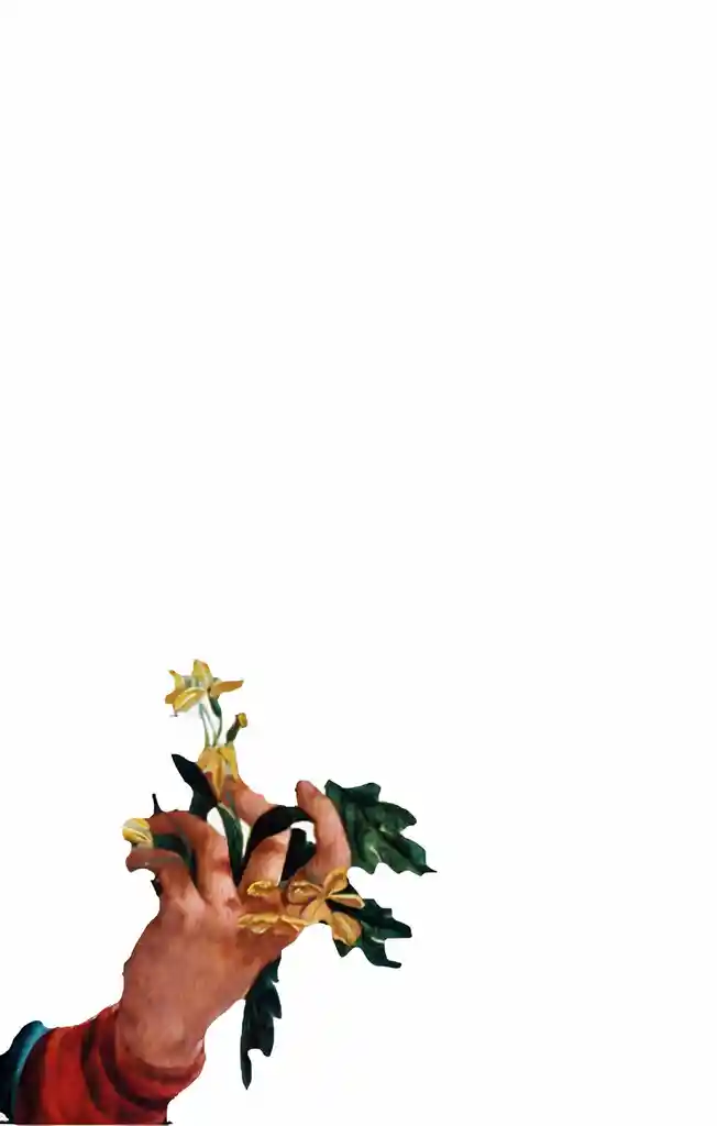 Biografía de la Humanidad.