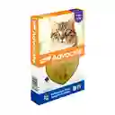 Advocate Antipulgas Para Gato >4 - 8 Kg X 3 Pipetas