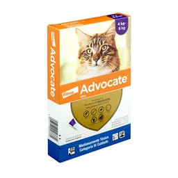 Advocate Antipulgas Para Gato >4 - 8 Kg X 3 Pipetas